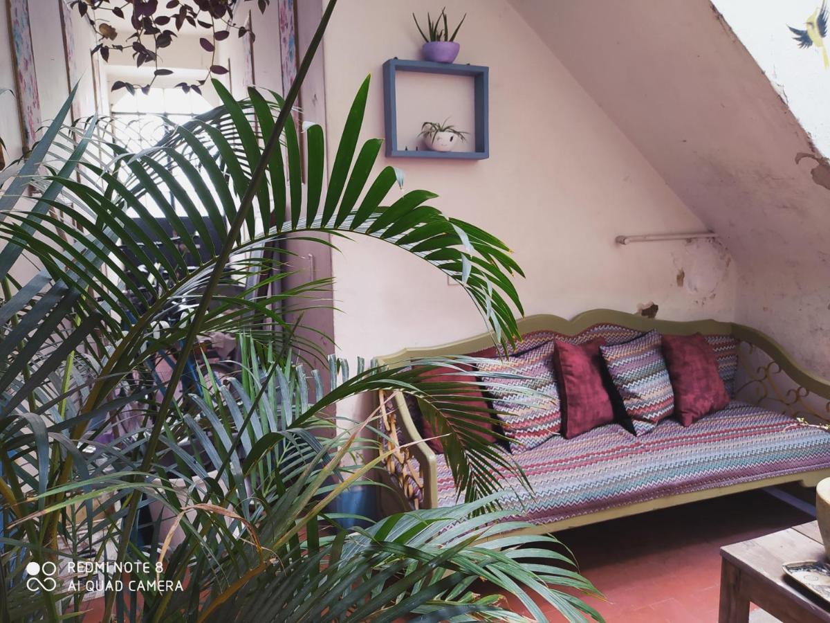 Casa Atenas (Adults Only) Guadalajara Exterior foto